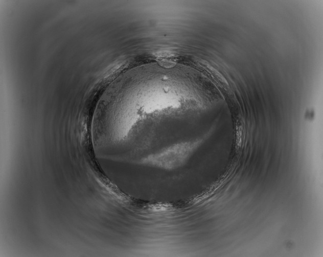 X0000099290618200805021233