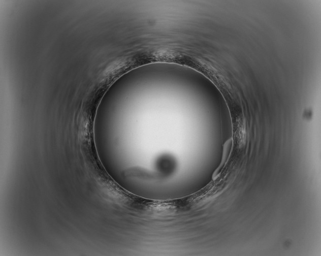 X0000099290619200805021233