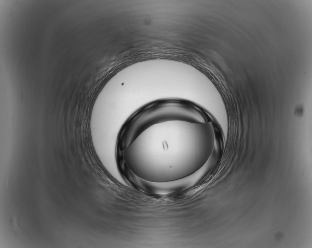 X0000099290621200805021233