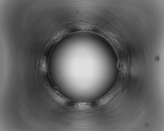 X0000099290622200805021233
