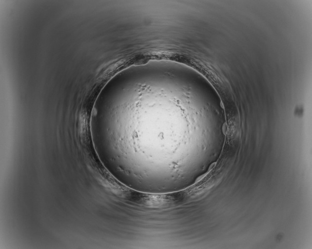 X0000099290623200805021233