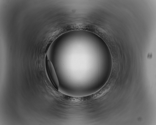 X0000099290624200805021233