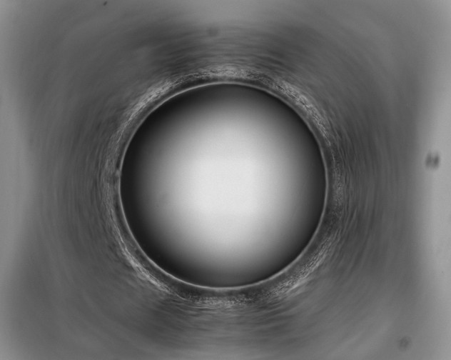 X0000099290625200805021232