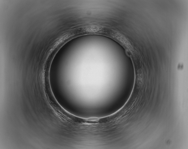 X0000099290626200805021232