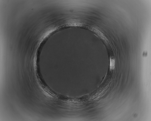 X0000099290627200805021232