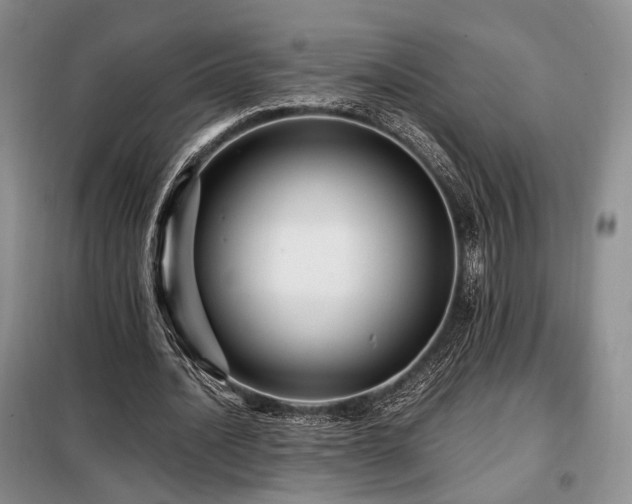 X0000099290628200805021232