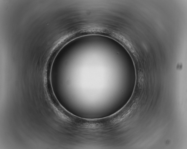 X0000099290629200805021232