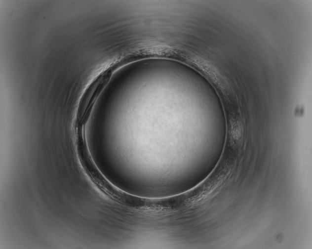 X0000099290630200805021232