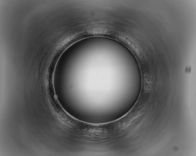 X0000099290631200805021232