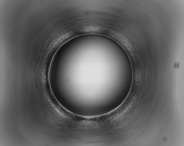 X0000099290633200805021232