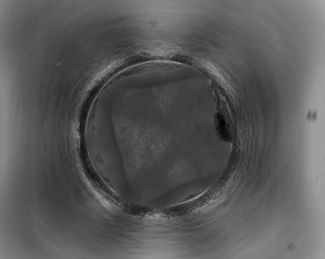 X0000099290634200805021232