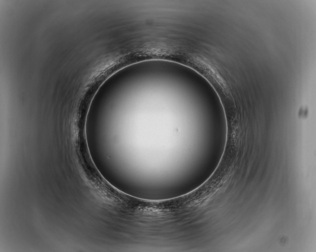 X0000099290635200805021232