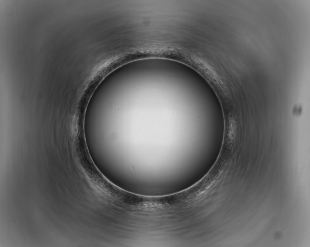 X0000099290636200805021232