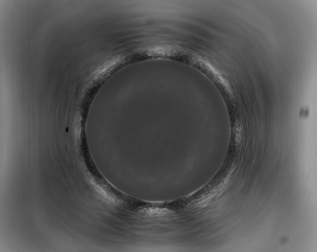 X0000099290637200805021232