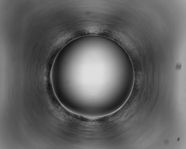 X0000099290639200805021232