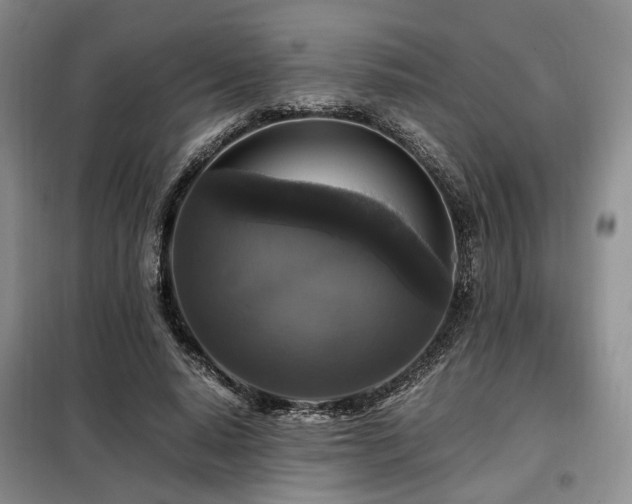 X0000099290640200805021232