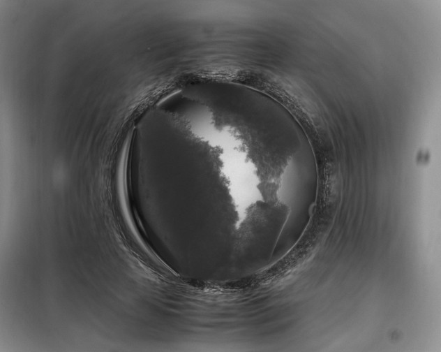 X0000099290641200805021232