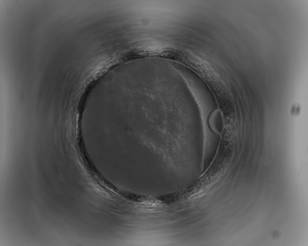 X0000099290642200805021232