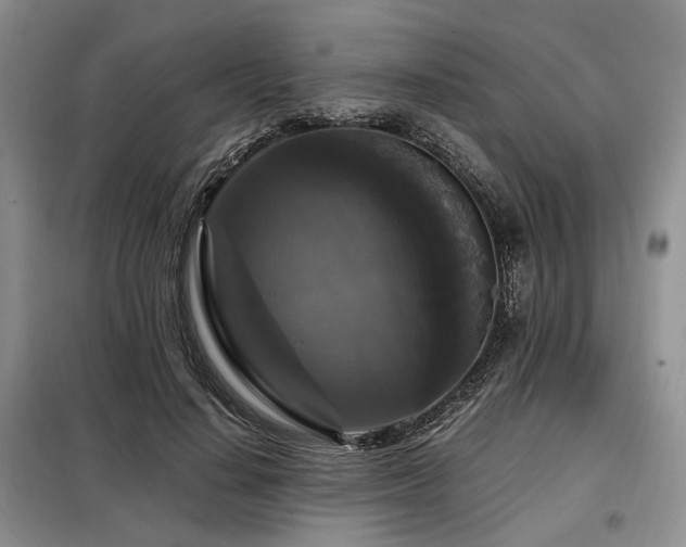 X0000099290644200805021232