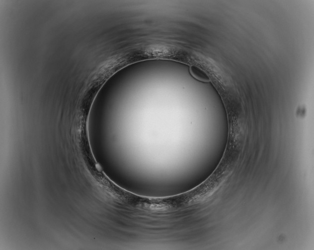 X0000099290645200805021232