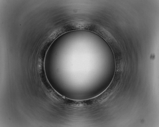 X0000099290646200805021232