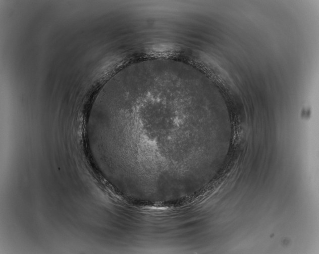 X0000099290647200805021232