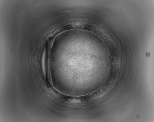 X0000099290649200805021232