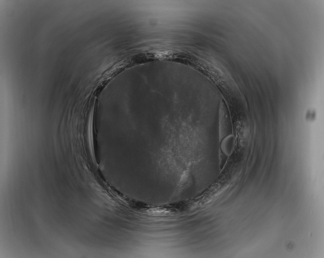 X0000099290650200805021232