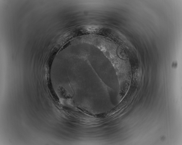 X0000099290651200805021232