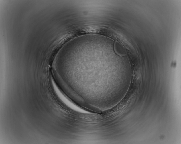 X0000099290652200805021232