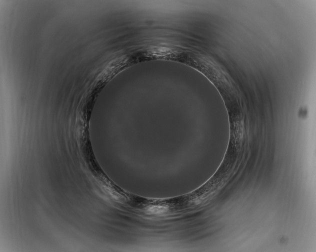 X0000099290653200805021232