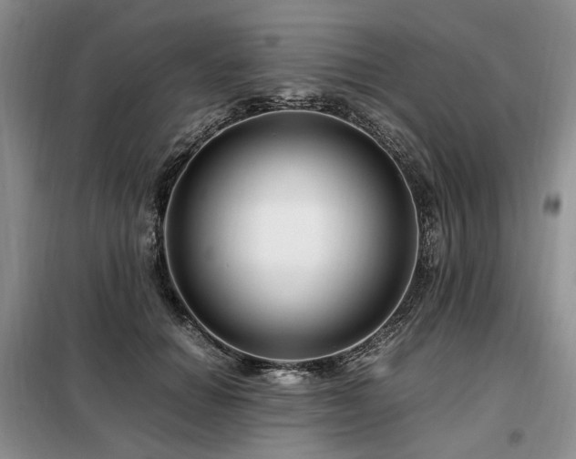 X0000099290654200805021232