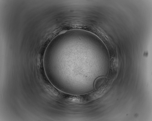 X0000099290655200805021232