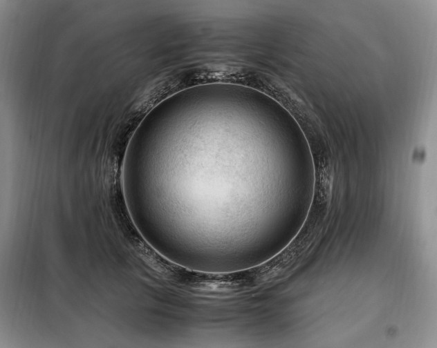 X0000099290657200805021232