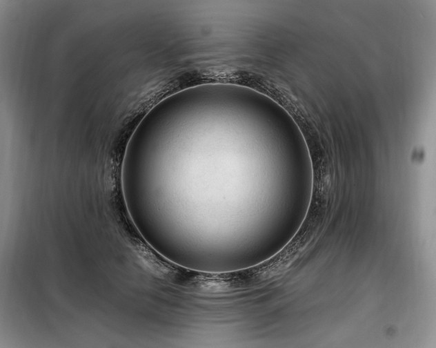 X0000099290658200805021232