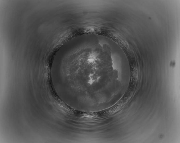 X0000099290659200805021232
