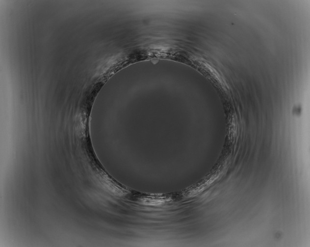 X0000099290661200805021232