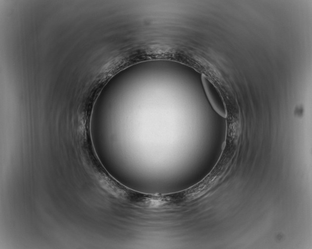 X0000099290662200805021232