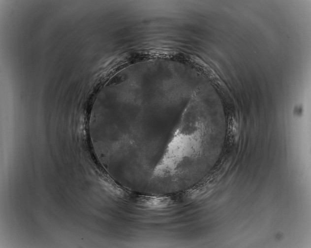 X0000099290663200805021232
