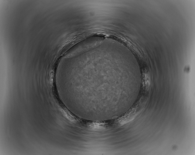 X0000099290664200805021232