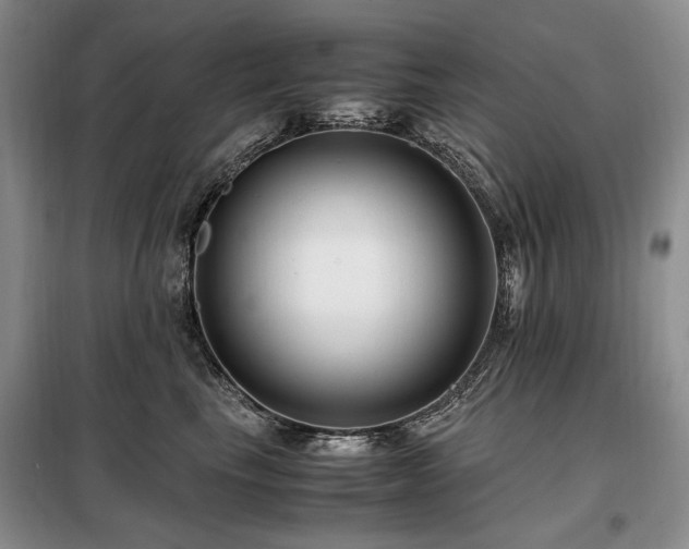 X0000099290665200805021232