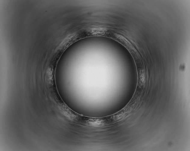X0000099290667200805021232