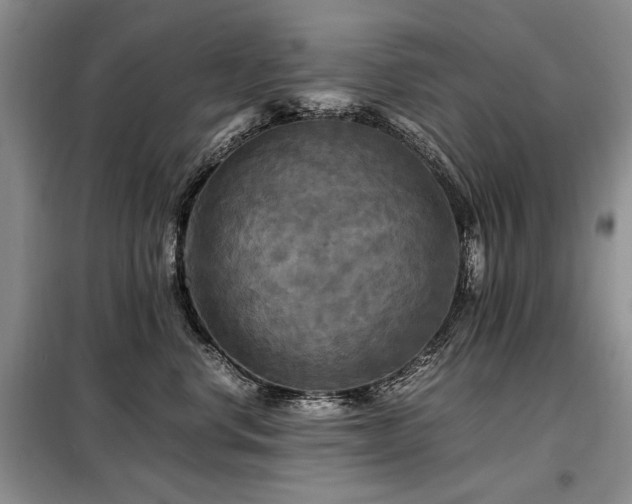 X0000099290668200805021233