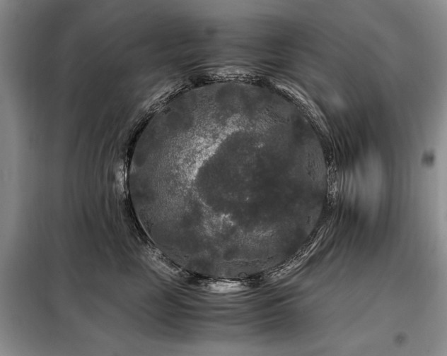X0000099290669200805021233