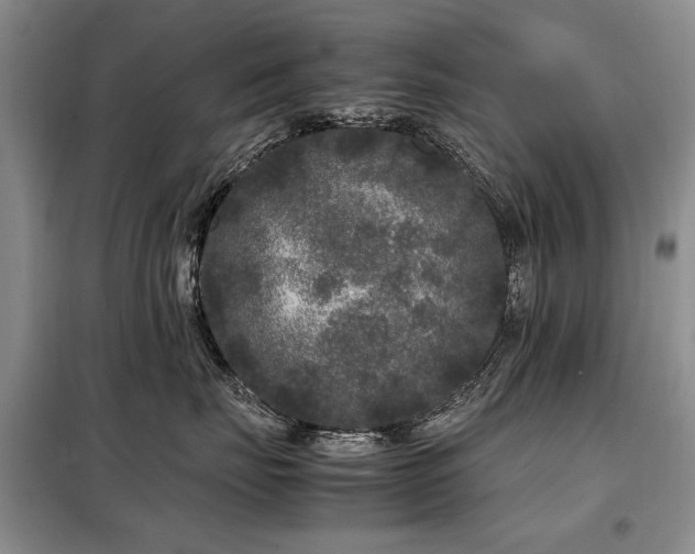 X0000099290671200805021233
