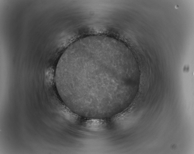 X0000099290672200805021233