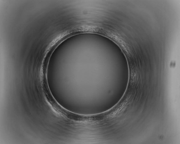 X0000099290674200805021232