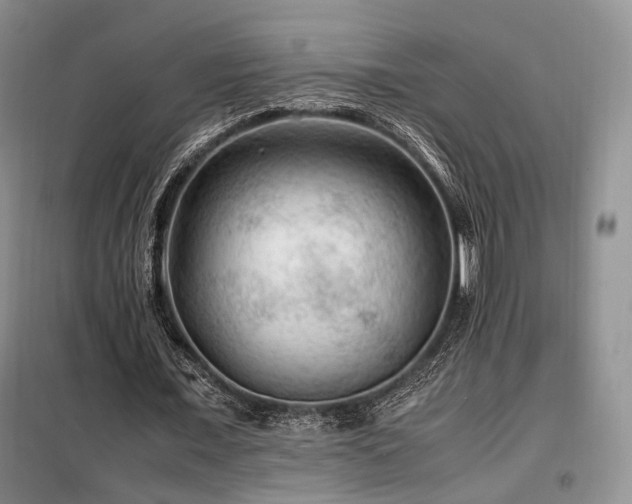 X0000099290675200805021232