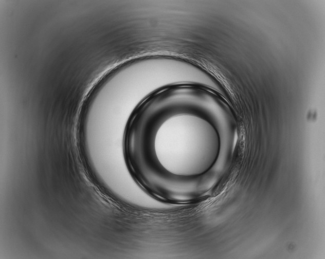 X0000099290676200805021232