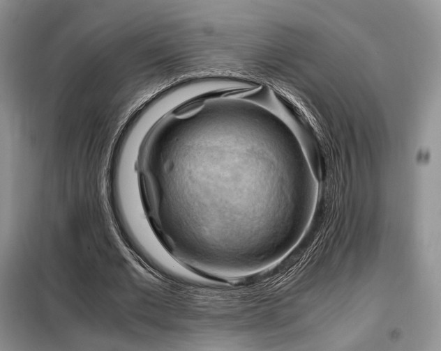 X0000099290677200805021232